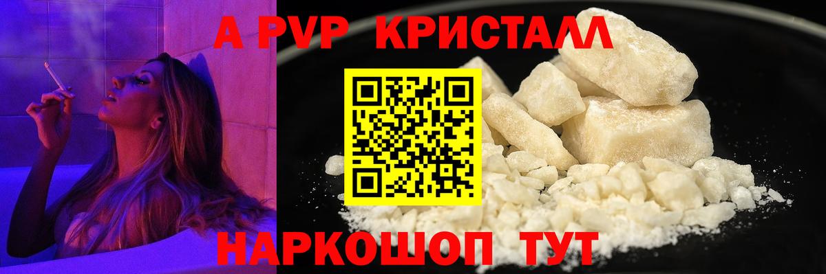 Альфа ПВП СК КРИС Балтийск