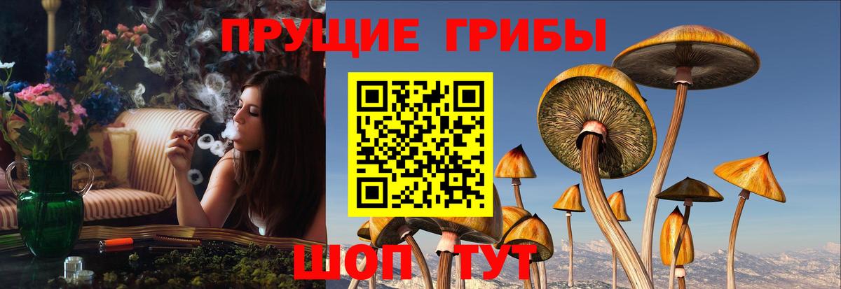 Бошки Шишки  Вход с VPN  А ПВП СОЛЬ кристаллы  ГАШ  АМФ кристаллы  Балтийск  МЕФ кристаллы 